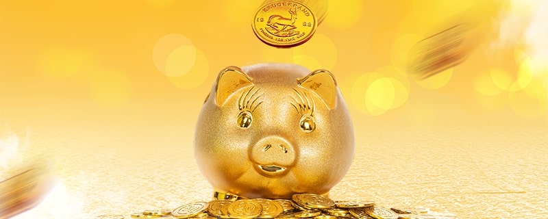 社保卡缴费怎么交：操作流程与常见问题解答指南